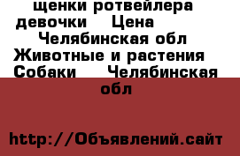  щенки ротвейлера (девочки) › Цена ­ 5 000 - Челябинская обл. Животные и растения » Собаки   . Челябинская обл.